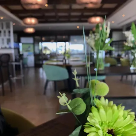 Casa Golondrino Estepona